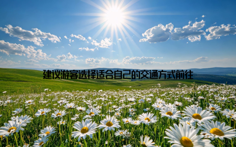 建议游客选择适合自己的交通方式前往